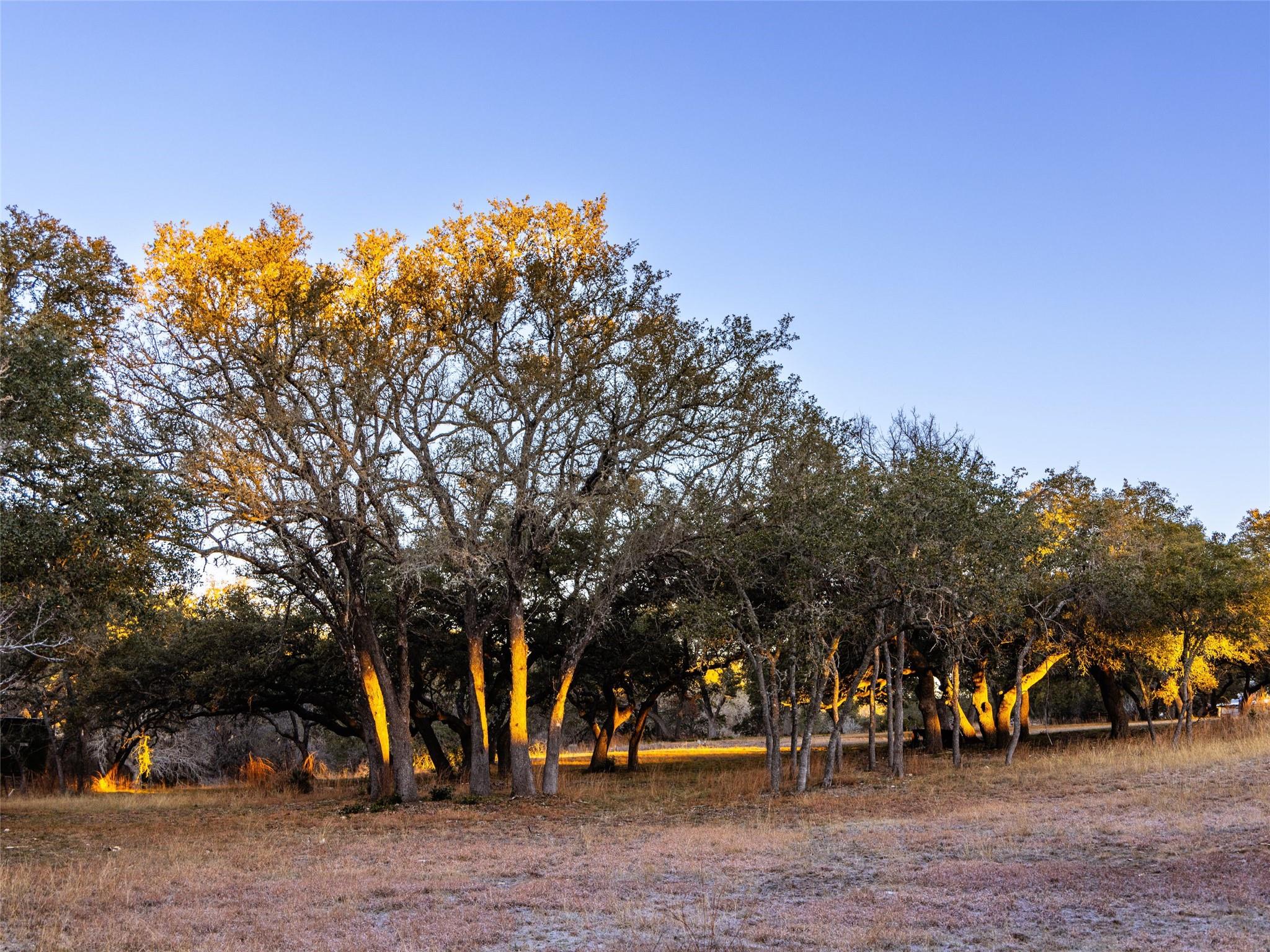 6.56 Acres 1623 Rd Property Photo 33