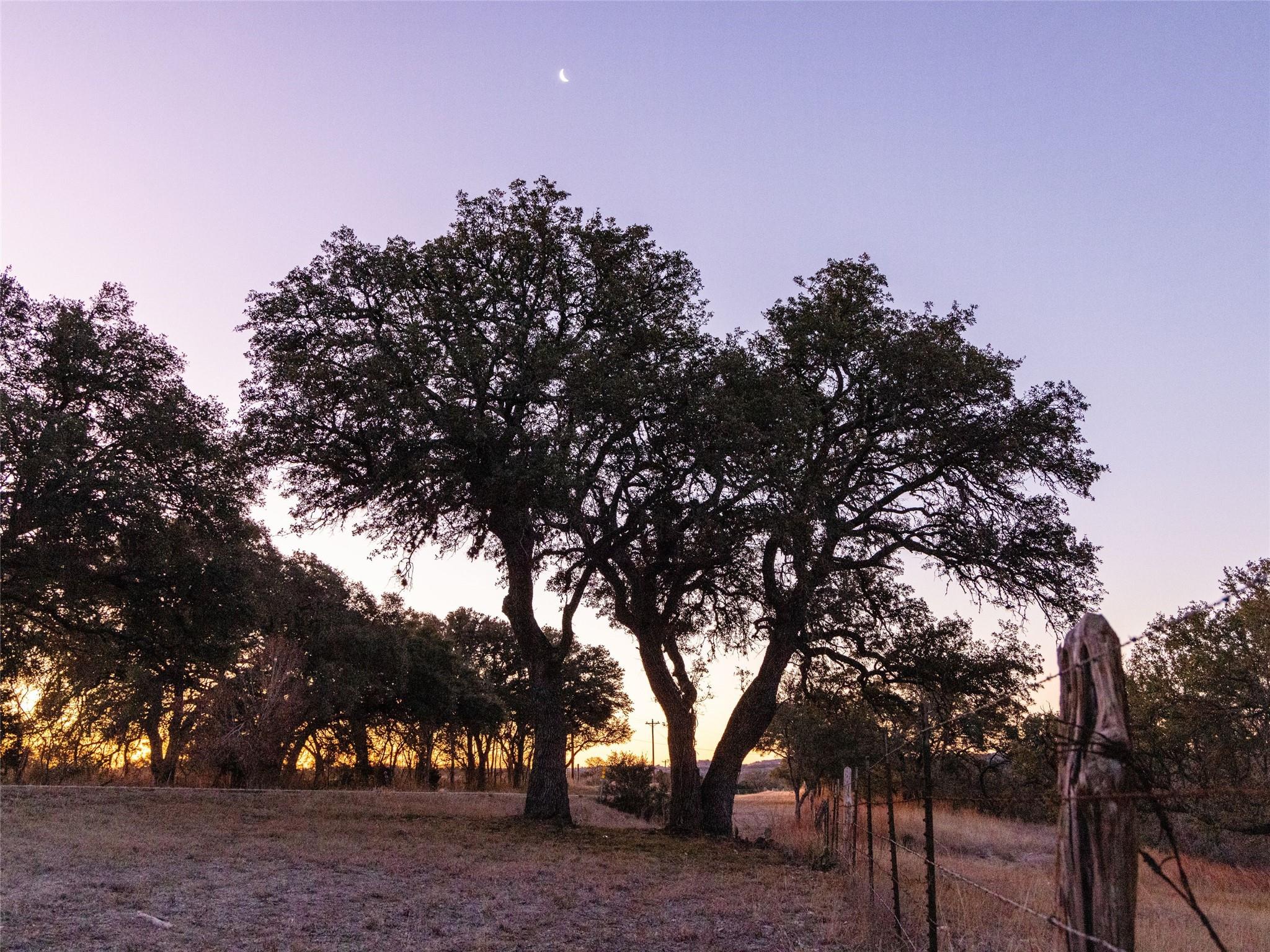 6.56 Acres 1623 Rd Property Photo 40