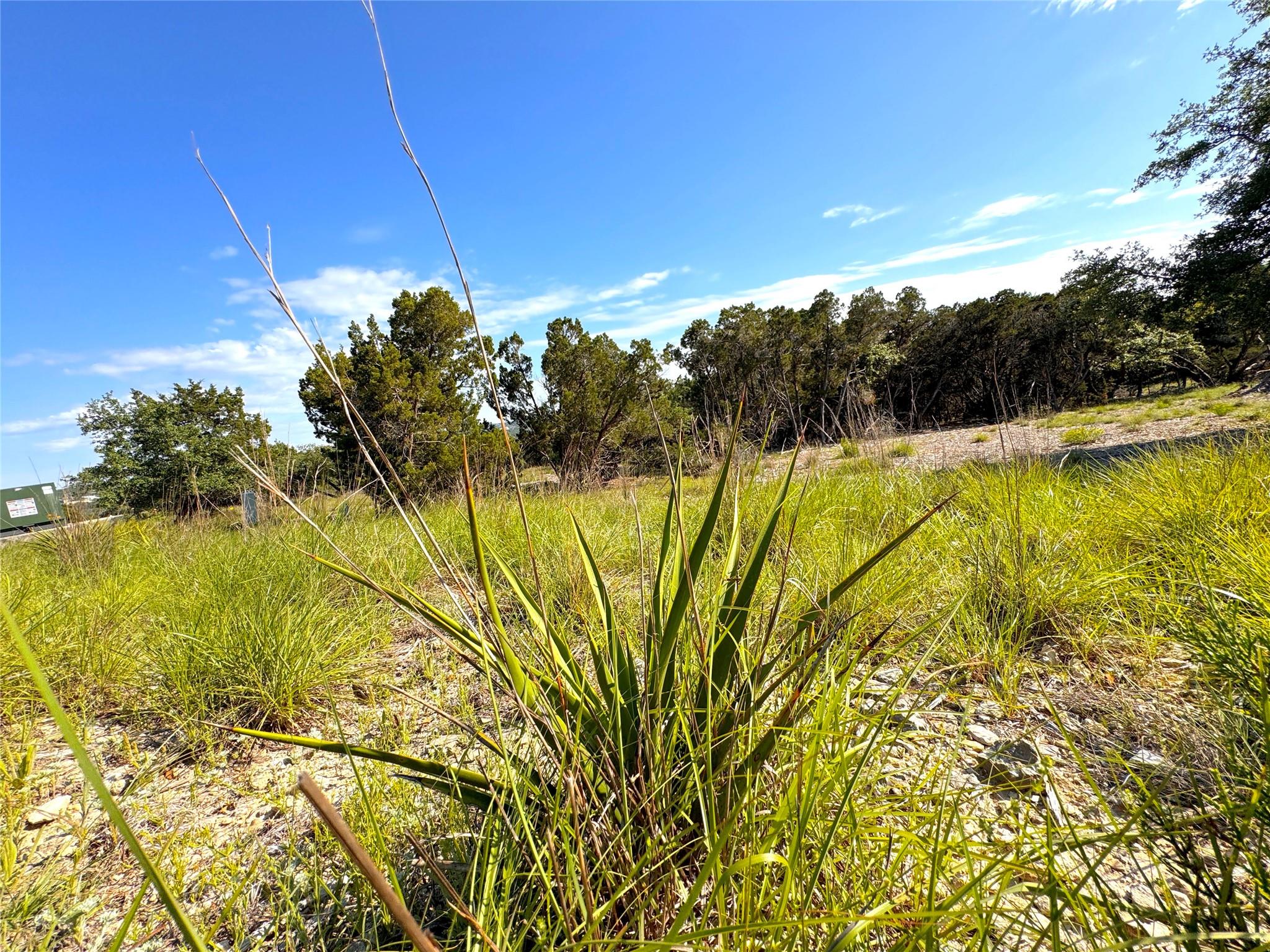 108 Sendera Way Property Photo 3