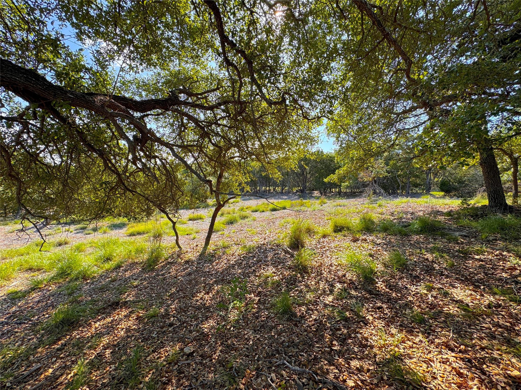 108 Sendera Way Property Photo 6