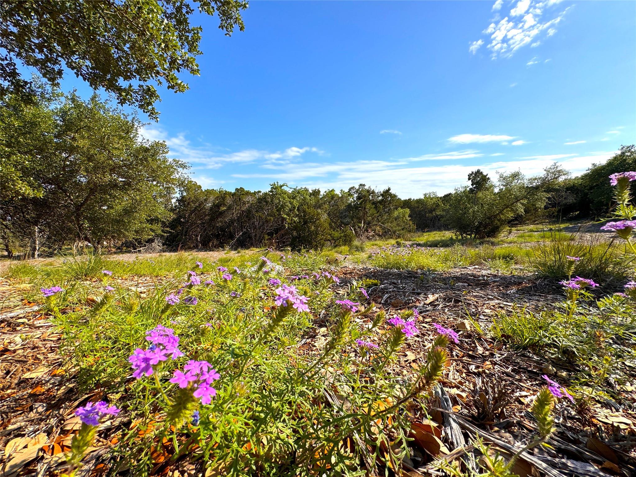 108 Sendera Way Property Photo 7