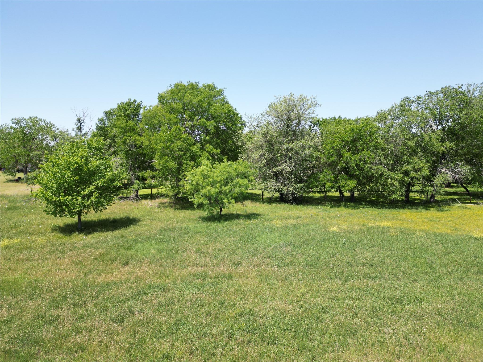 Tbd Blanco Ave Property Photo 8