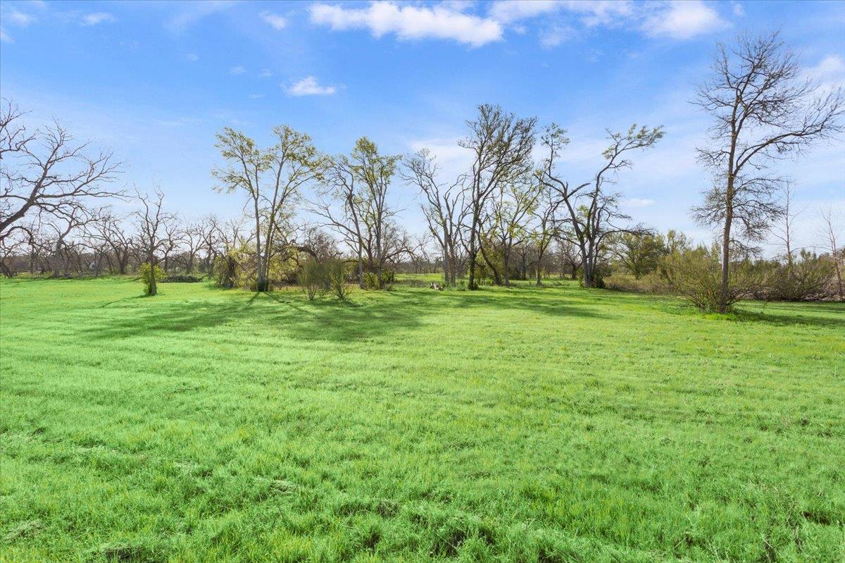 Tbd Lot 5 Leon River Property Photo 20