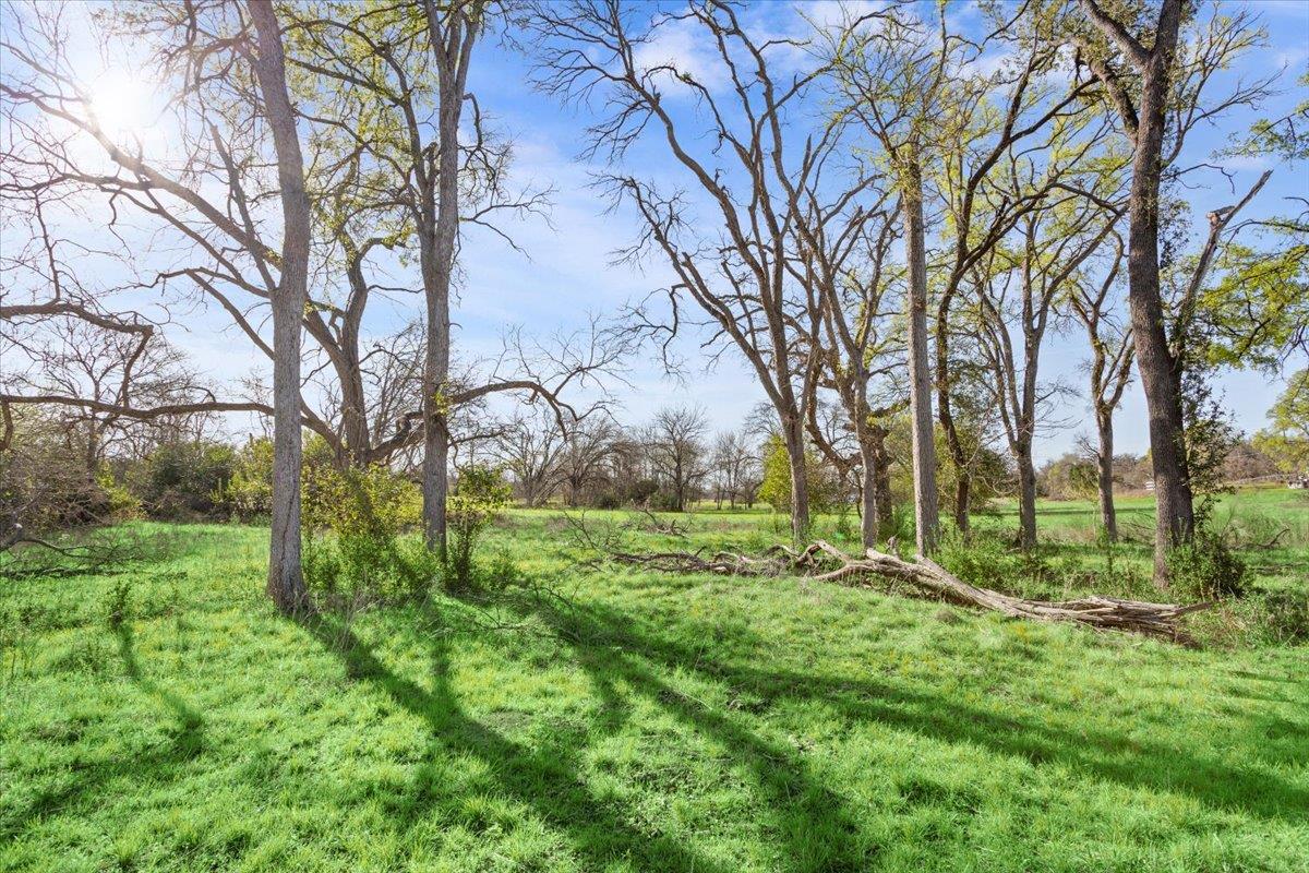 Tbd Lot 5 Leon River Property Photo 21