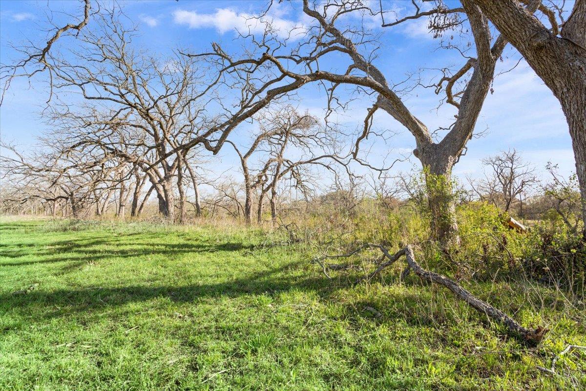 Tbd Lot 5 Leon River Property Photo 22