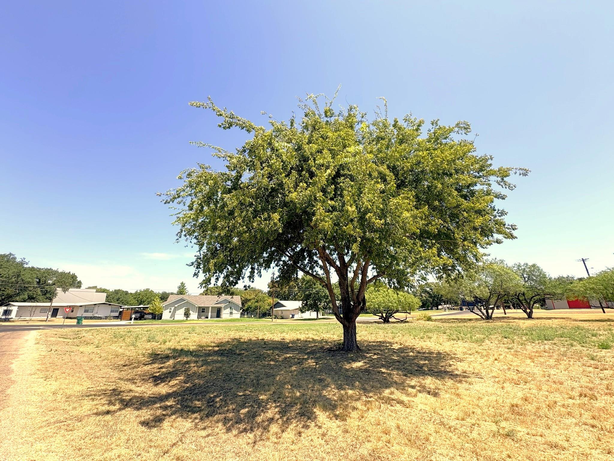 Tbd Circle Dr Property Photo 4