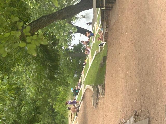 2214 Yellow Bird Trl Property Photo 26