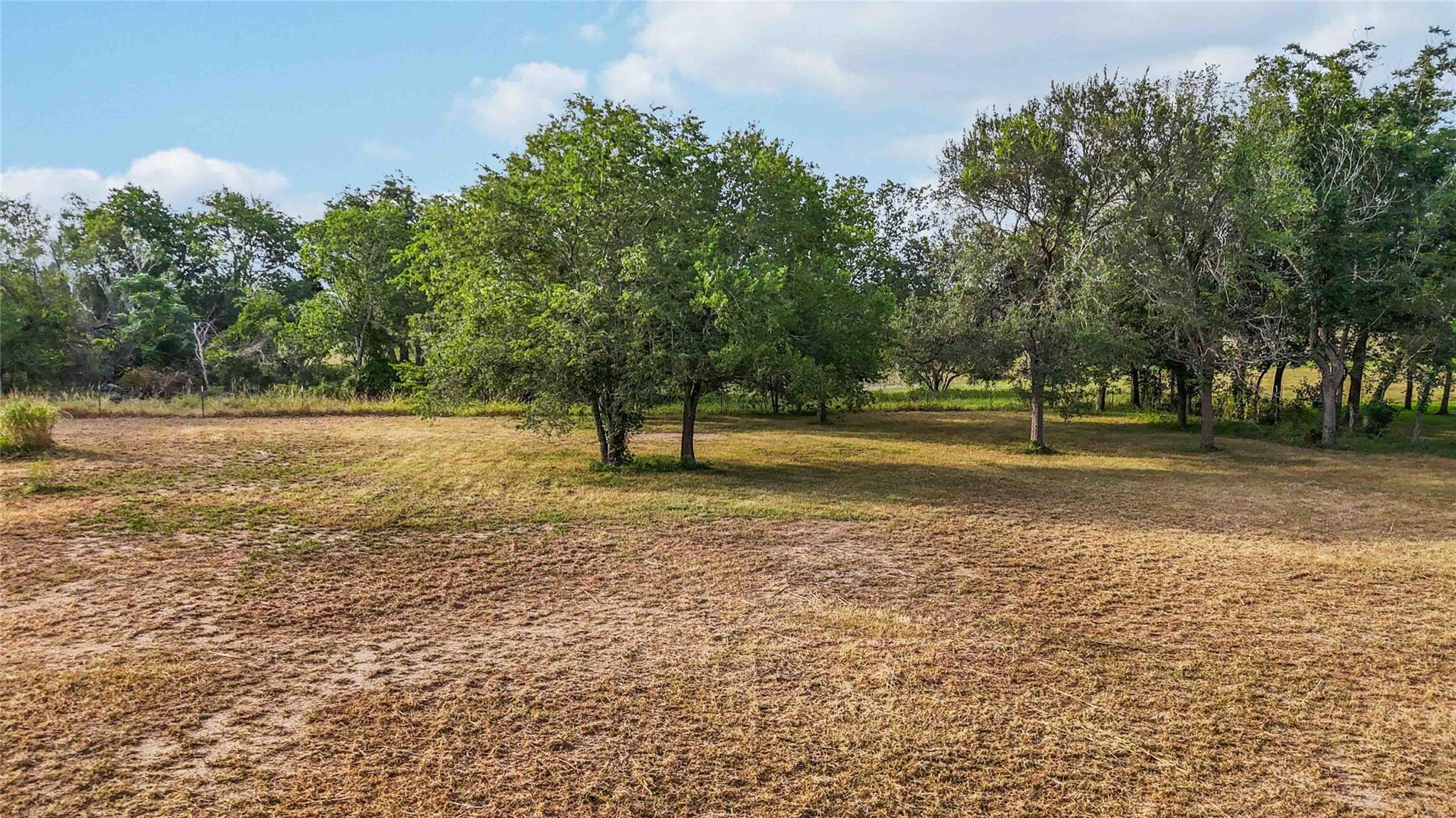 Tbd Fannin St Property Photo 4