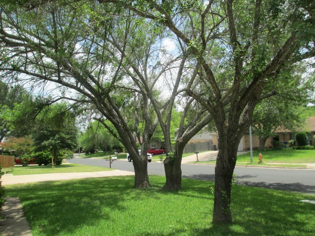 1214 Doonesbury Dr Property Photo 27