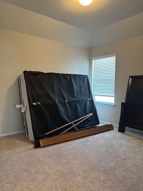 404 Black Opal Dr Property Photo 22