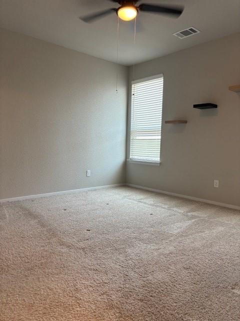 404 Black Opal Dr Property Photo 29