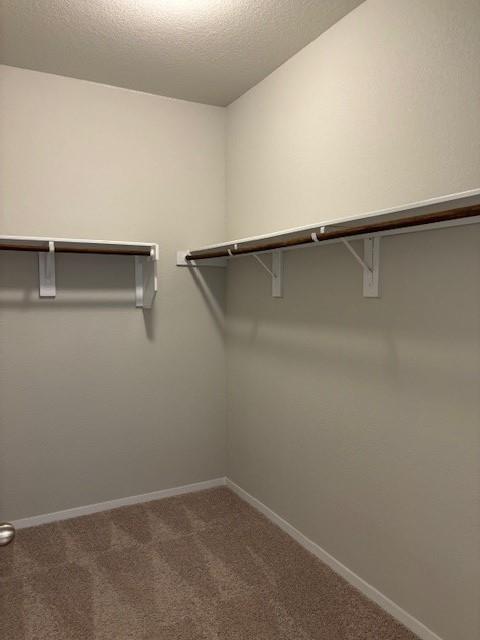 404 Black Opal Dr Property Photo 30