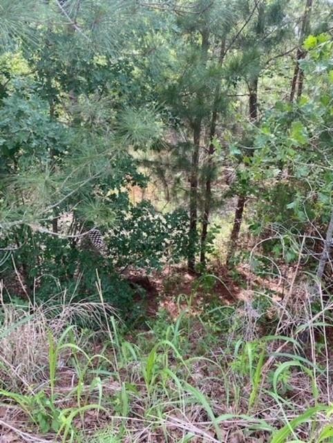 Lot 4 Kainalu Ln Property Photo 6