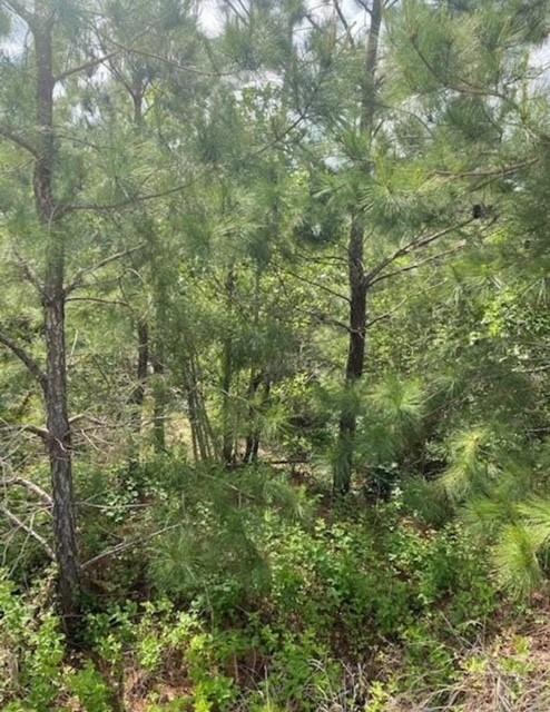 Lot 4 Kainalu Ln Property Photo 7