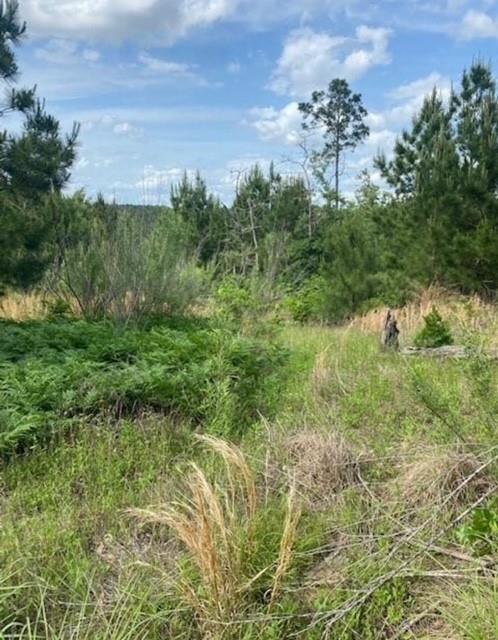 Lot 4 Kainalu Ln Property Photo 10