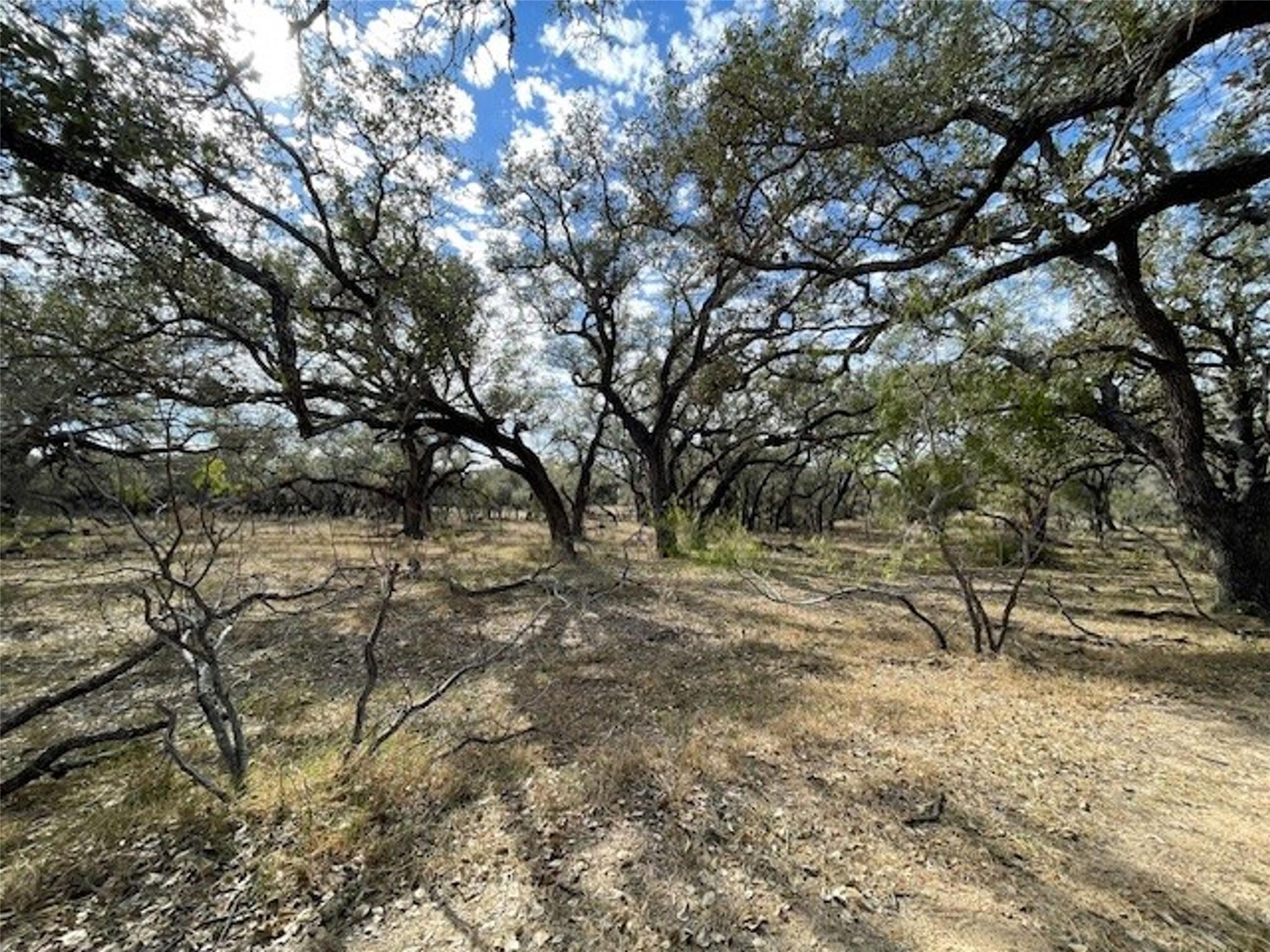 1384 County Road 326 None Property Photo 6