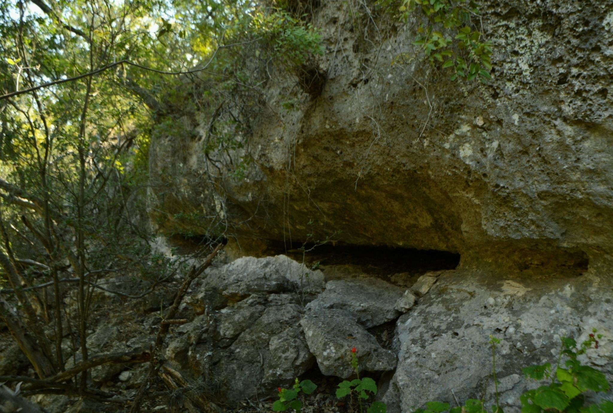 Lot 407 Palomino Springs Property Photo 2