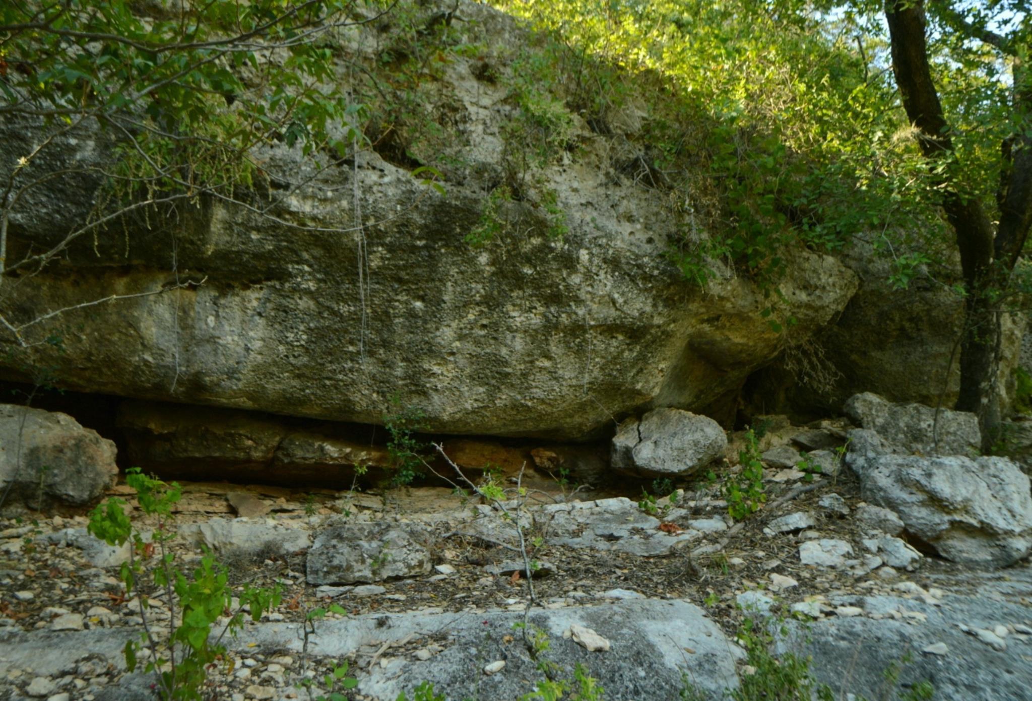 Lot 407 Palomino Springs Property Photo 3