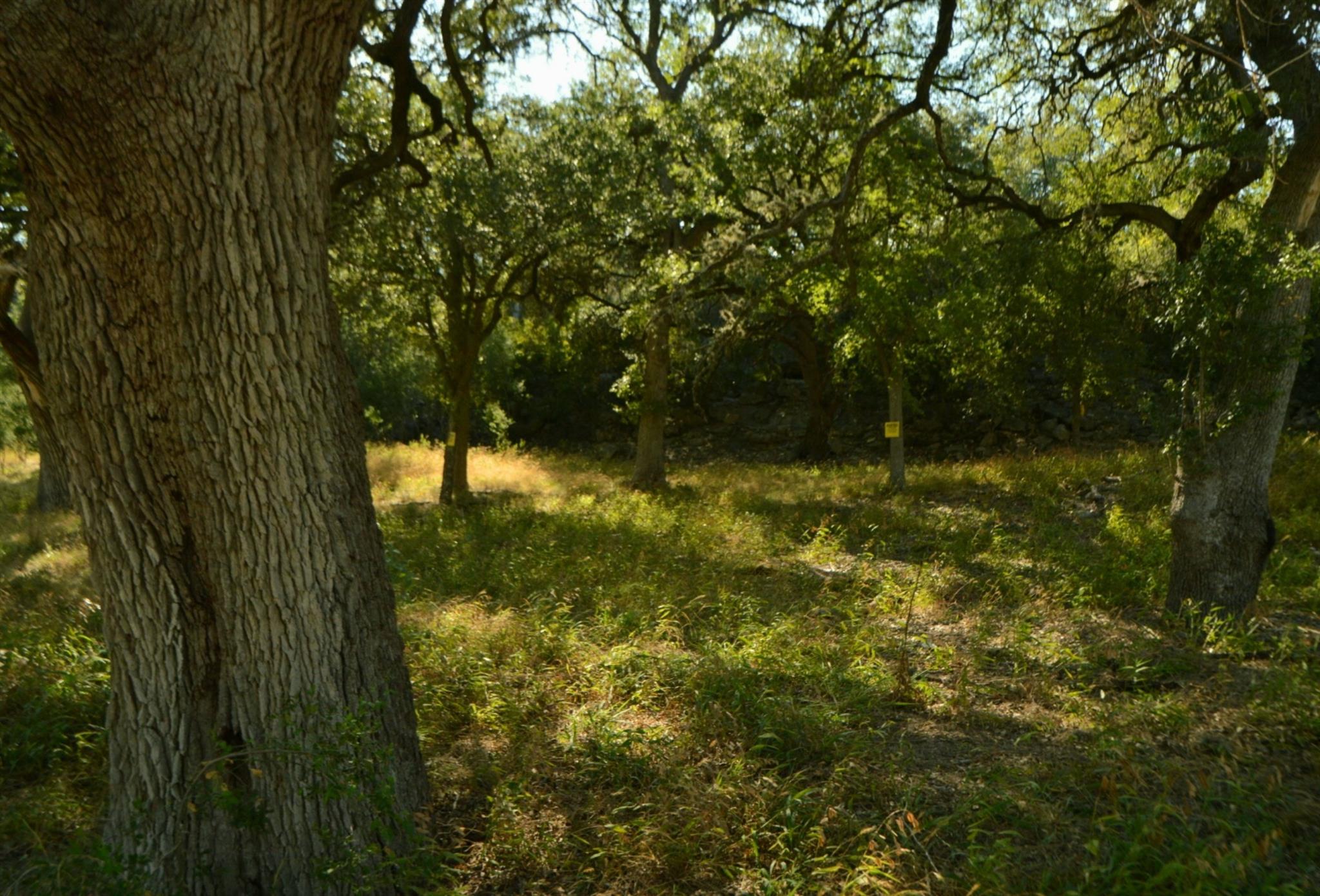 Lot 407 Palomino Springs Property Photo 4