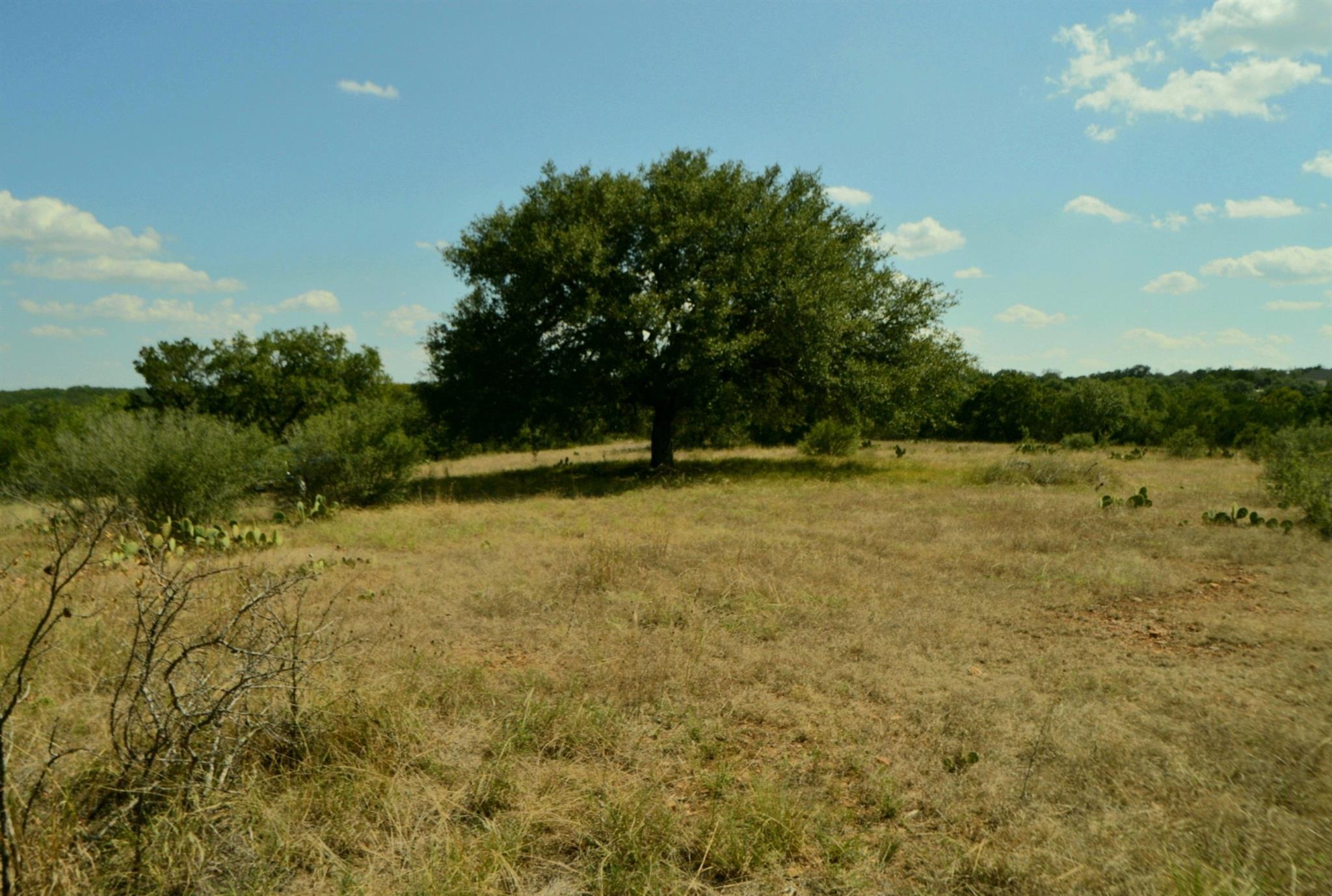 Lot 407 Palomino Springs Property Photo 6