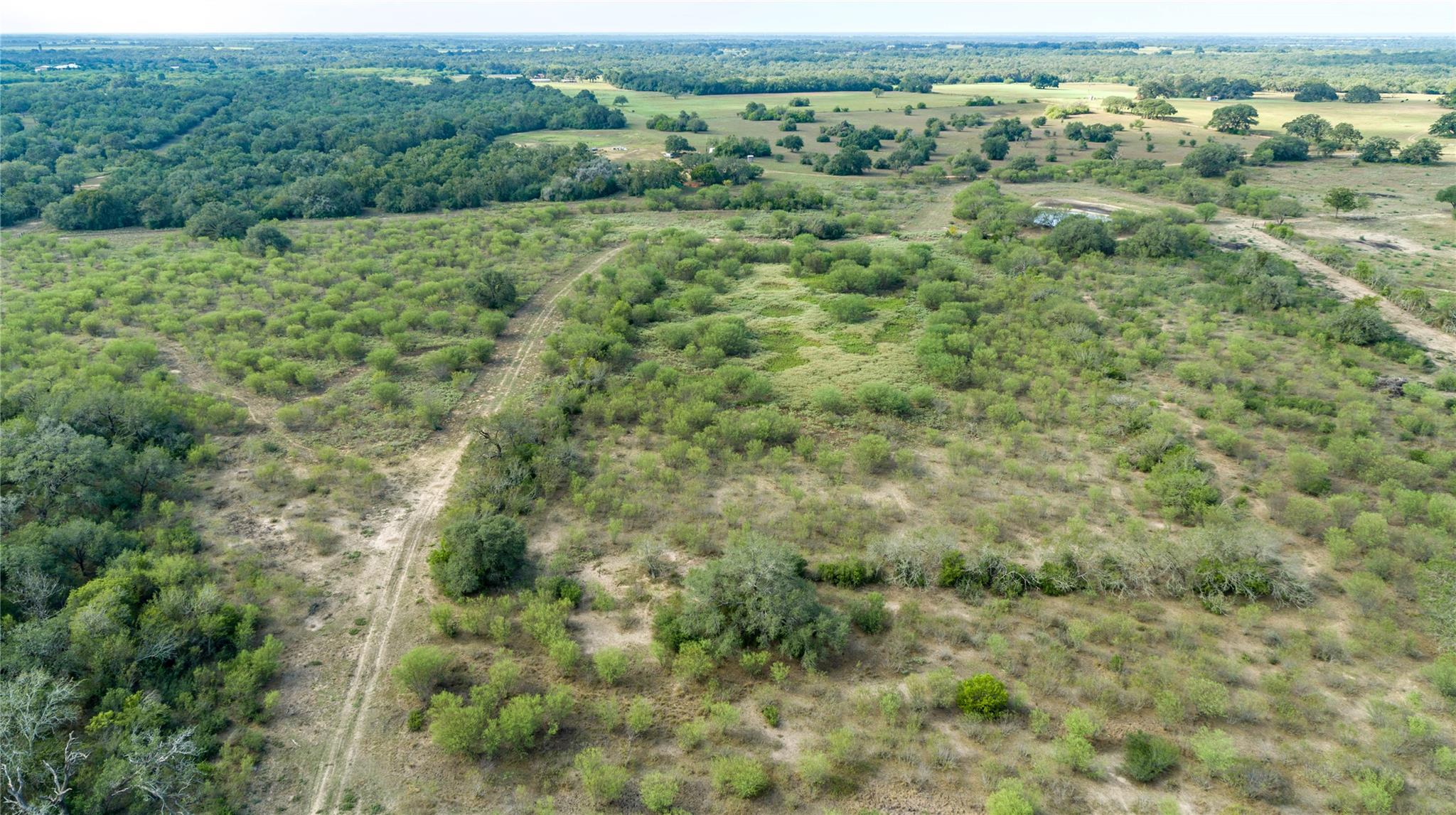 1116 Earl Williams Rd Property Photo 5