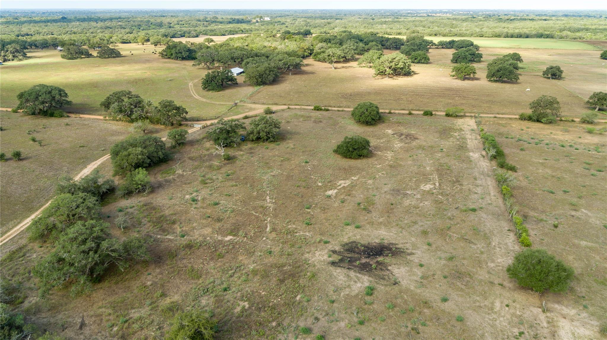 1116 Earl Williams Rd Property Photo 6