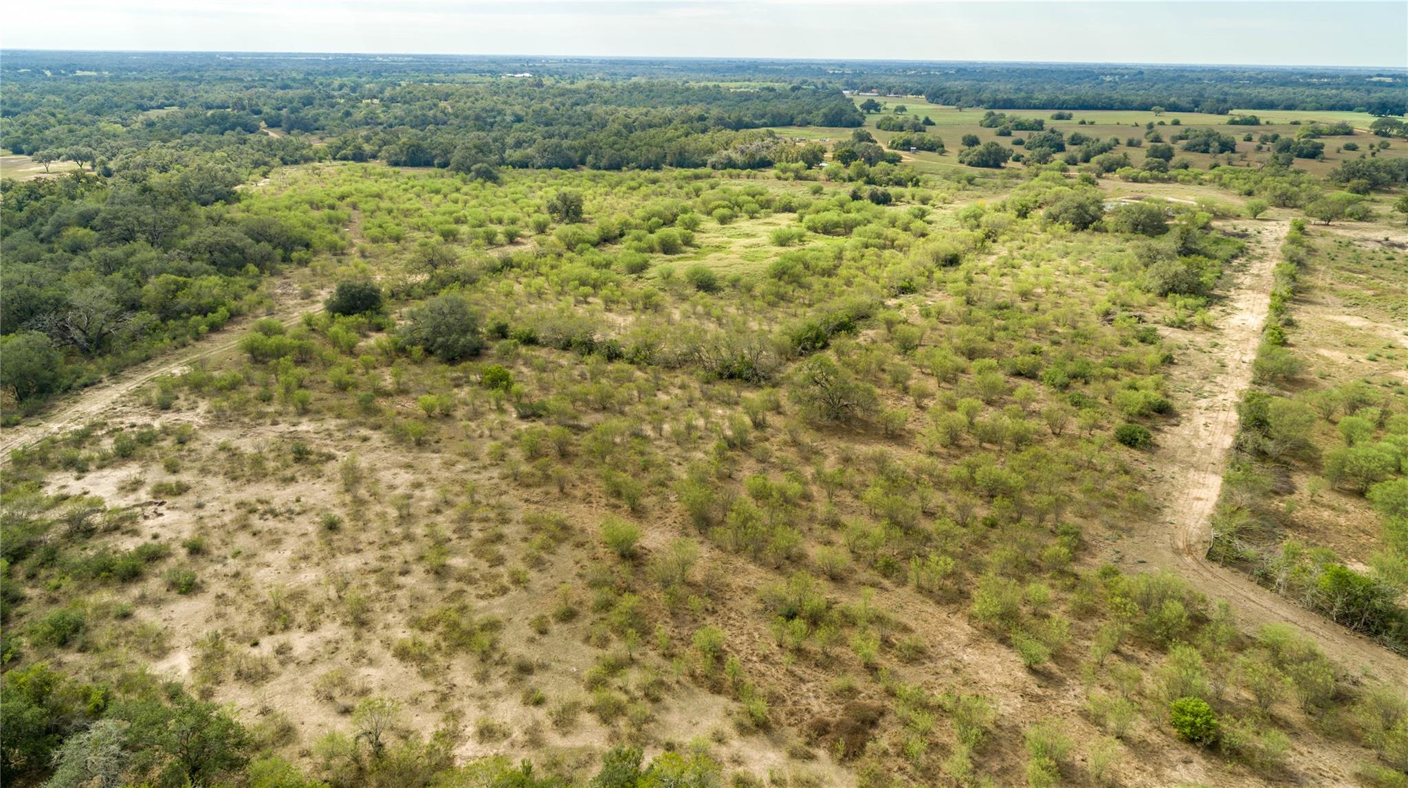 1116 Earl Williams Rd Property Photo 8