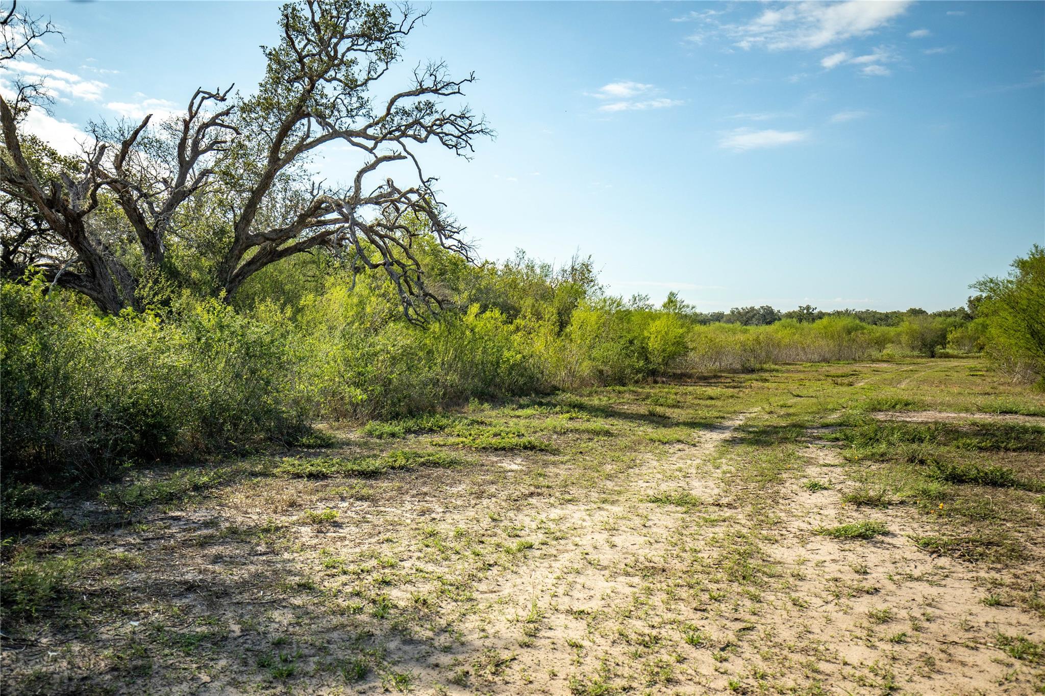 1116 Earl Williams Rd Property Photo 17