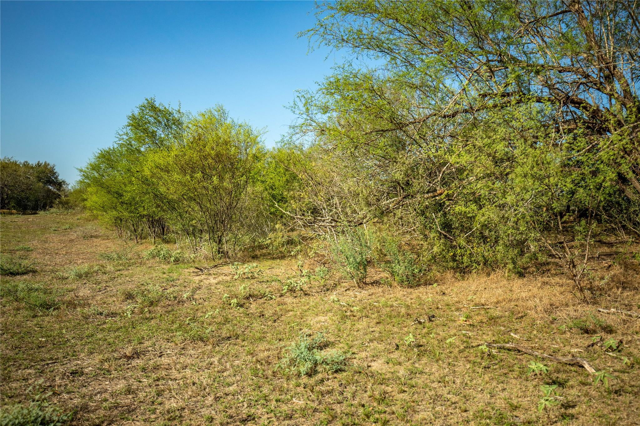 1116 Earl Williams Rd Property Photo 20