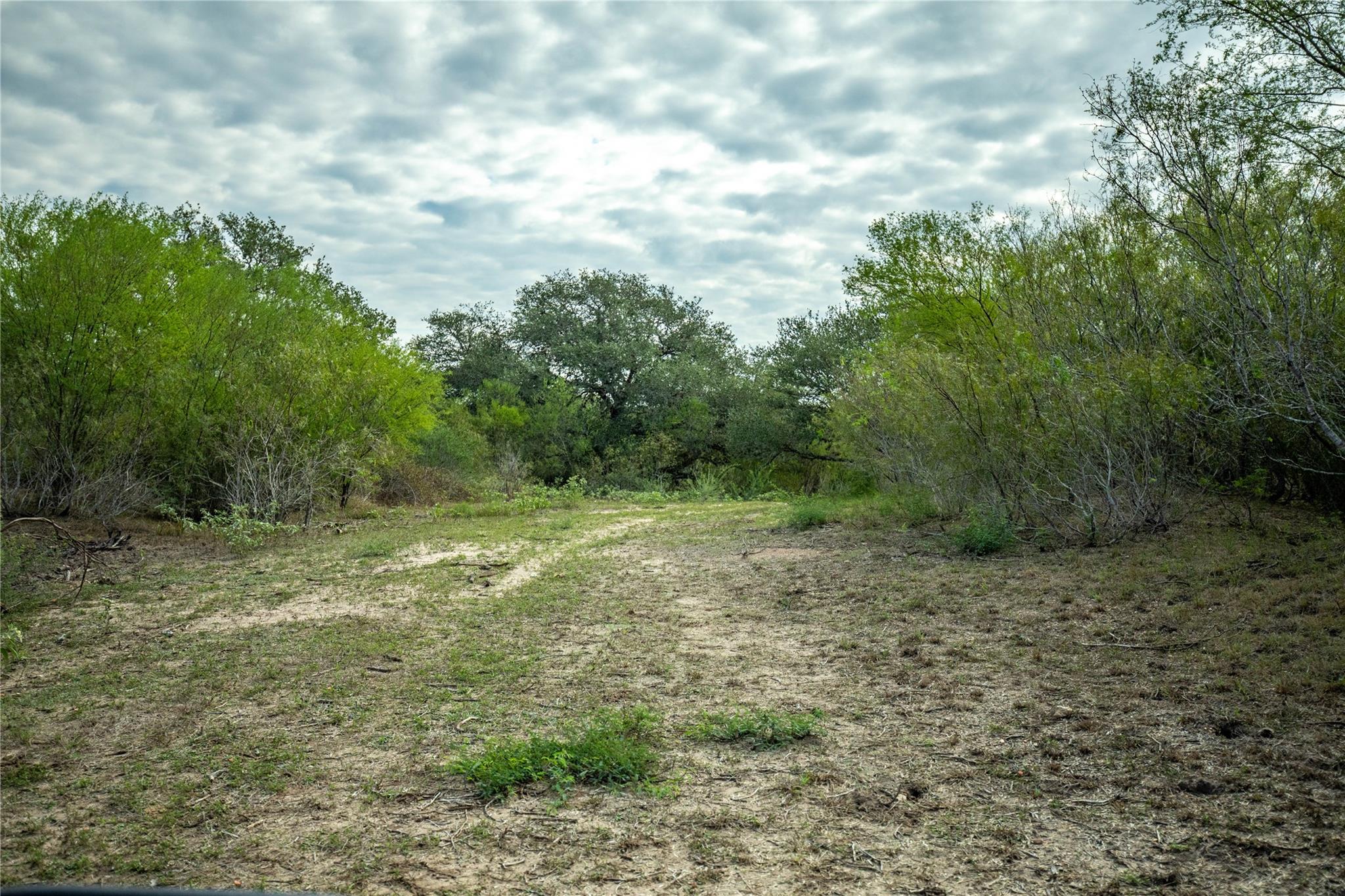 1116 Earl Williams Rd Property Photo 24