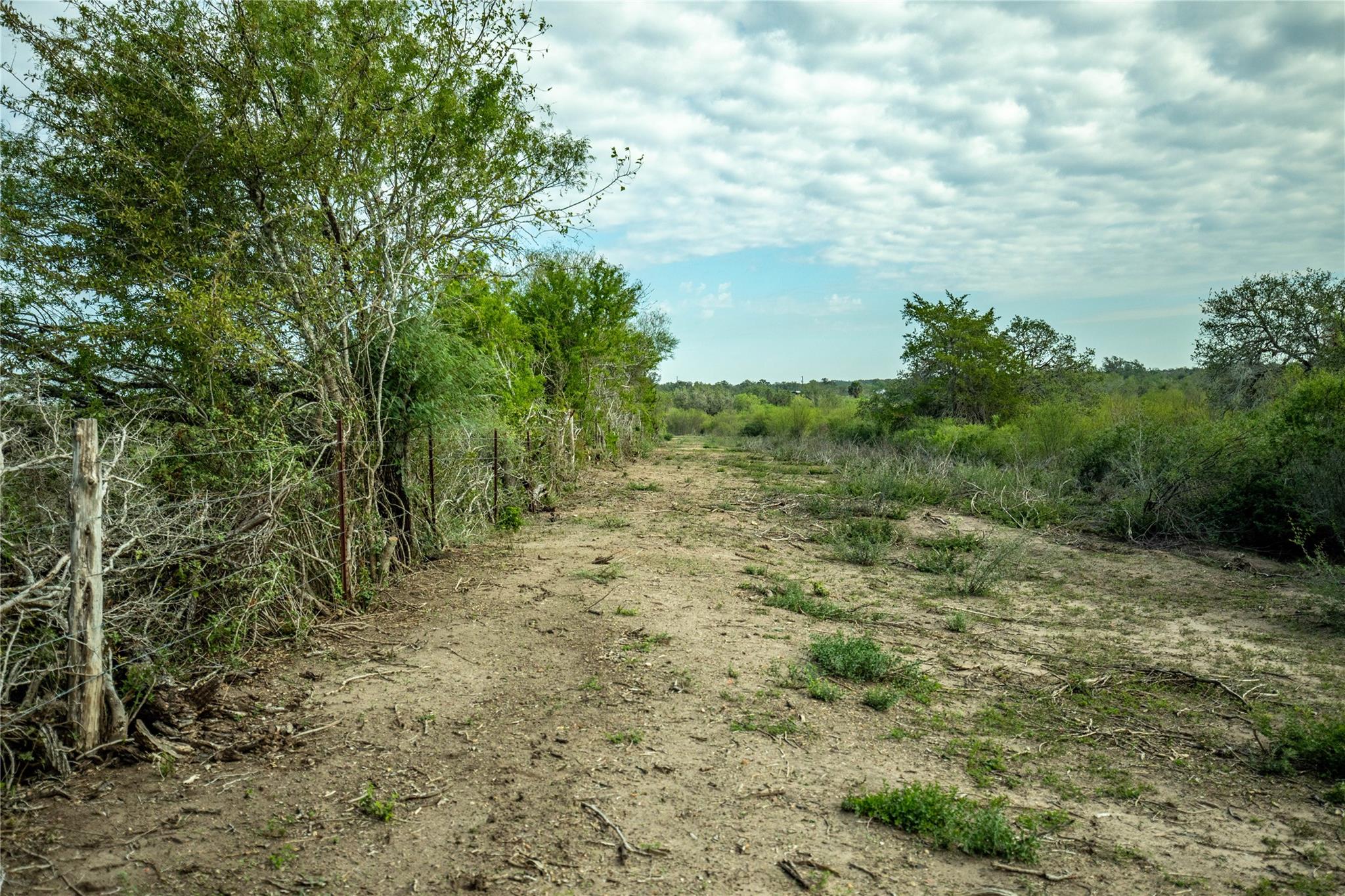 1116 Earl Williams Rd Property Photo 26