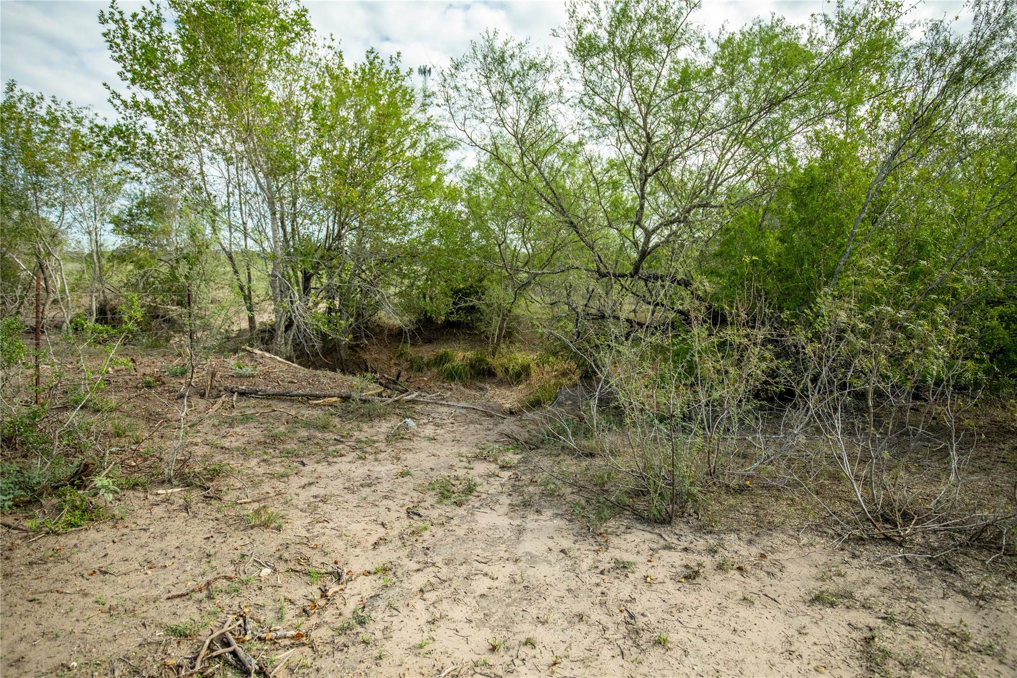 1116 Earl Williams Rd Property Photo 28