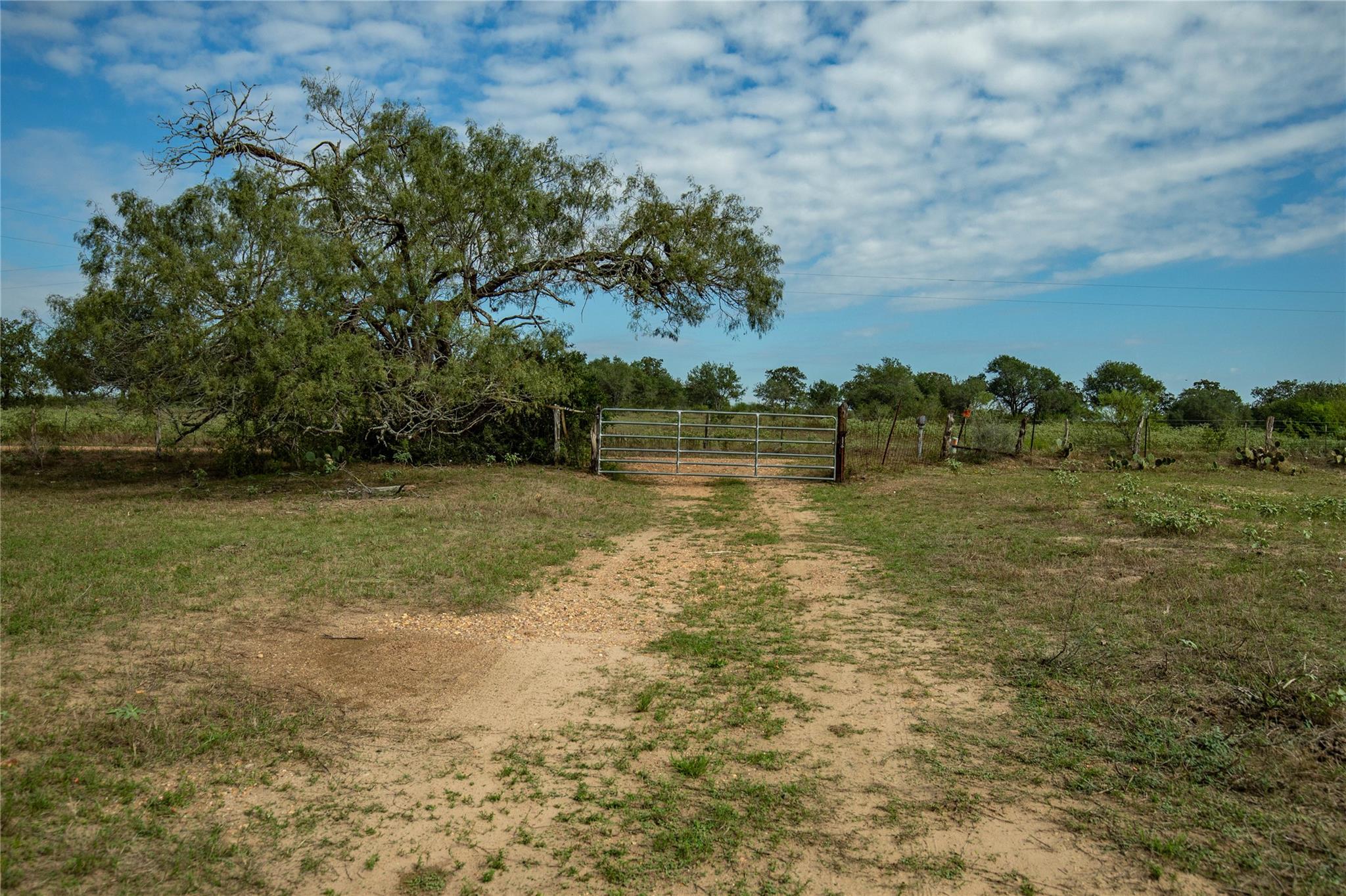 1116 Earl Williams Rd Property Photo 36