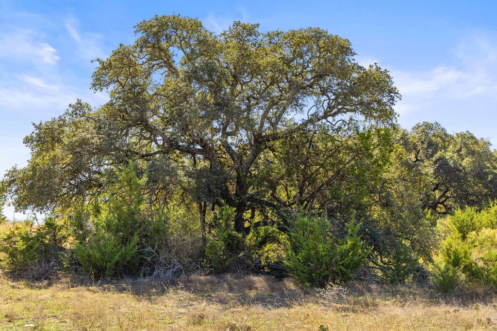 Tbd Lyda Ranch Rd Property Photo 16