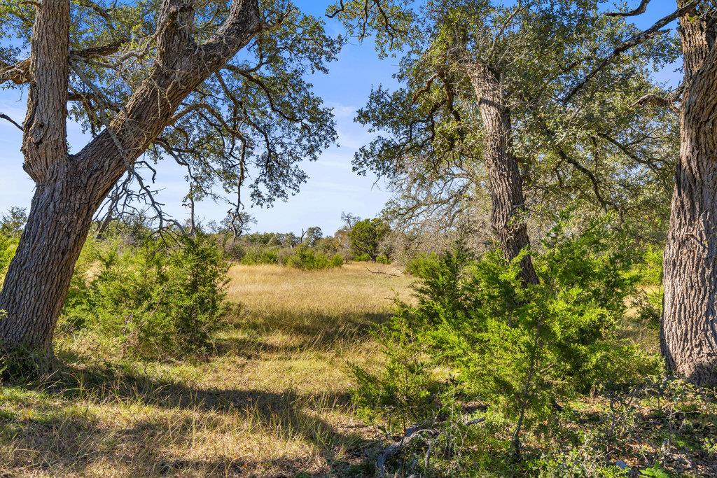 Tbd Lyda Ranch Rd Property Photo 22
