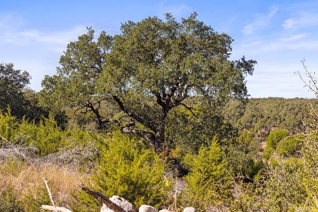 Tbd Lyda Ranch Rd Property Photo 25