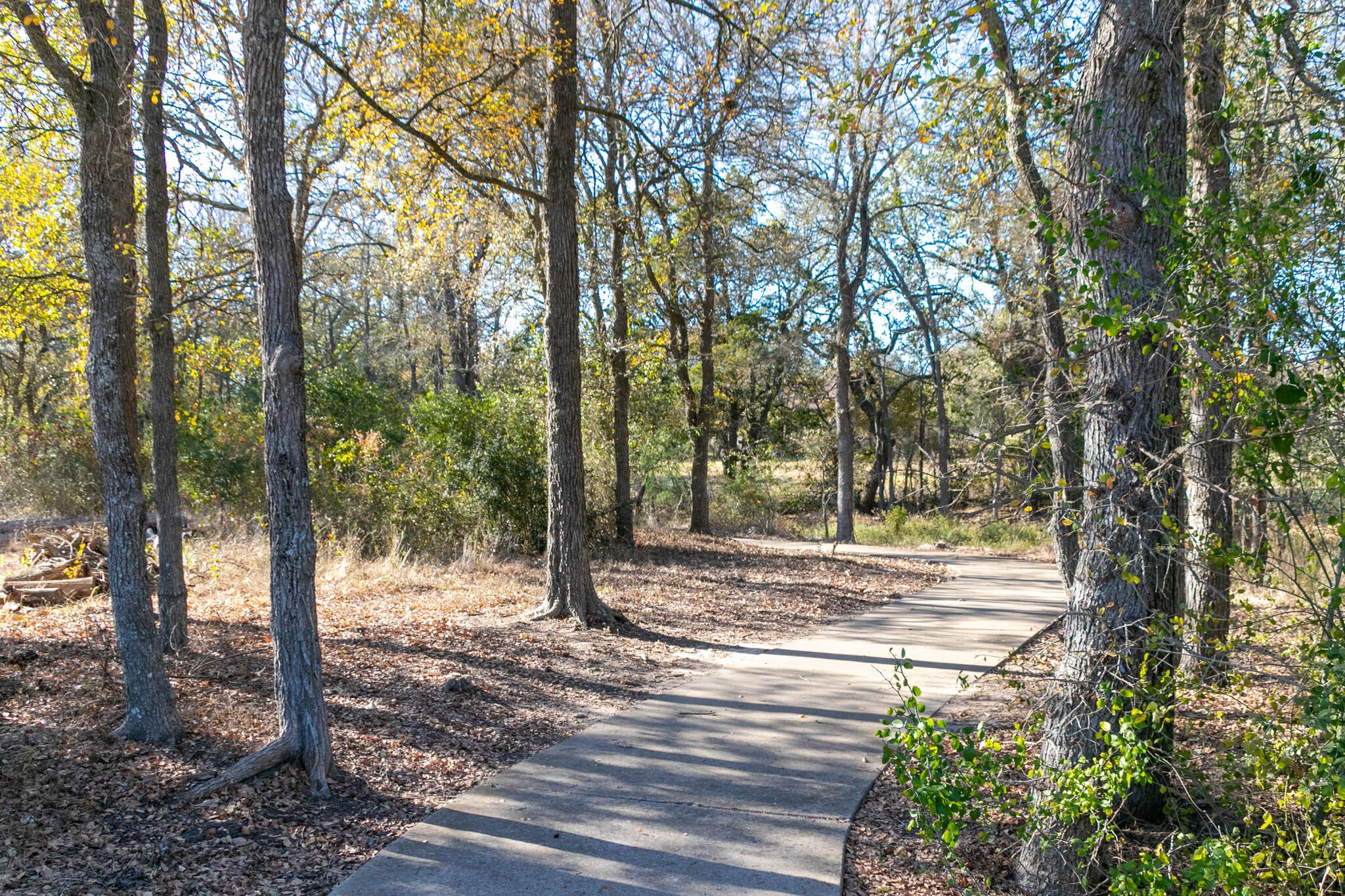 174 Plumbago Loop Property Photo 25