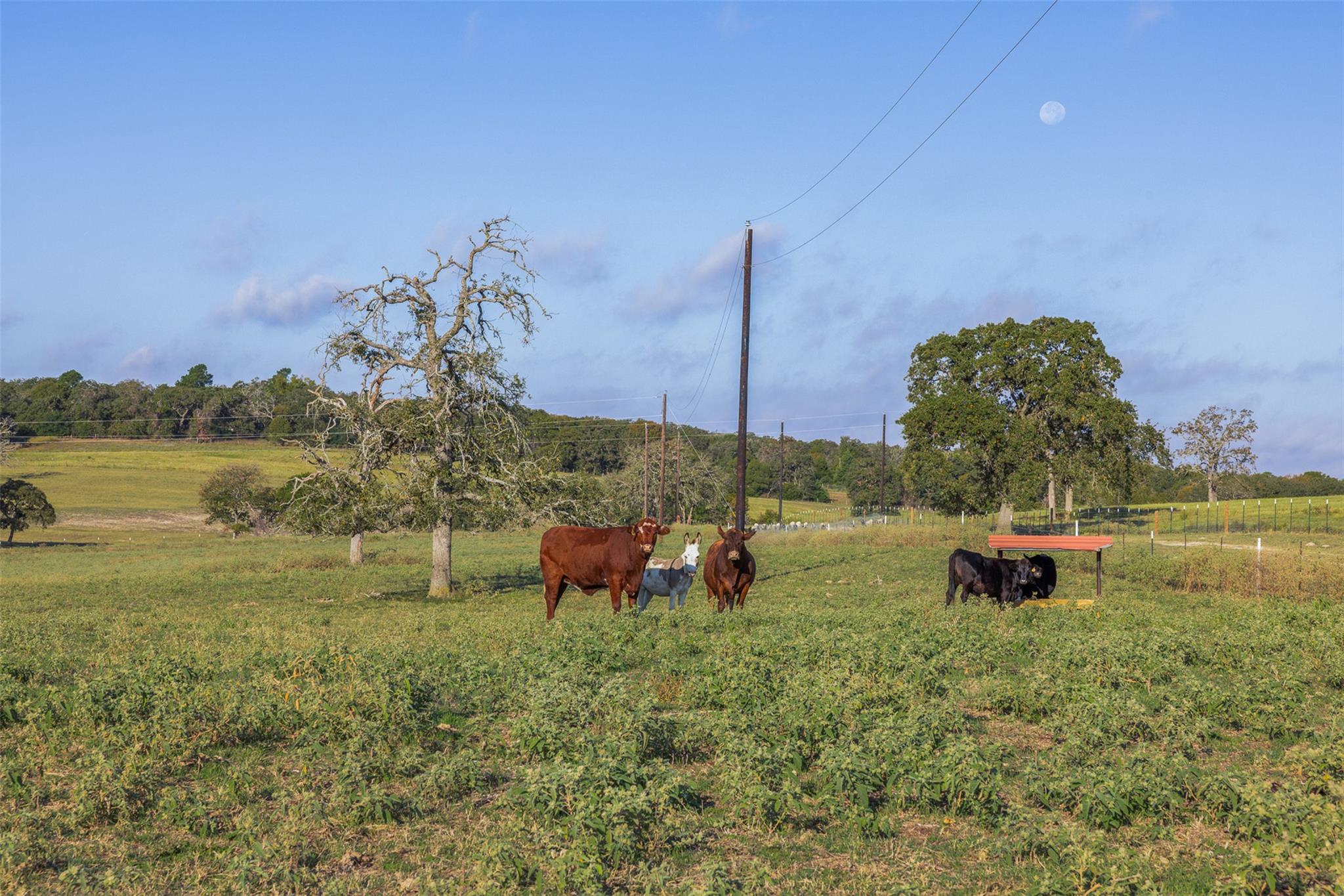 510 County Road 282 None Property Photo 11