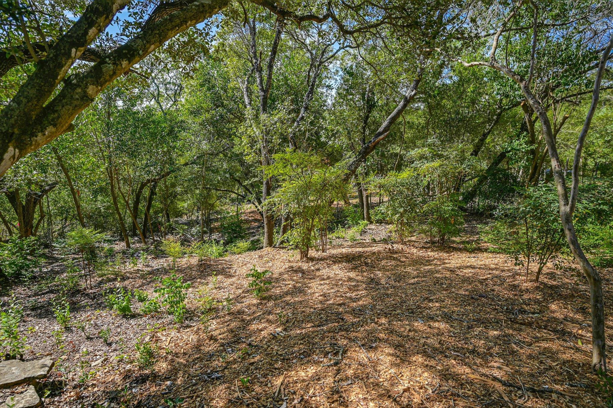 1403 Redbud Trl Property Photo 23