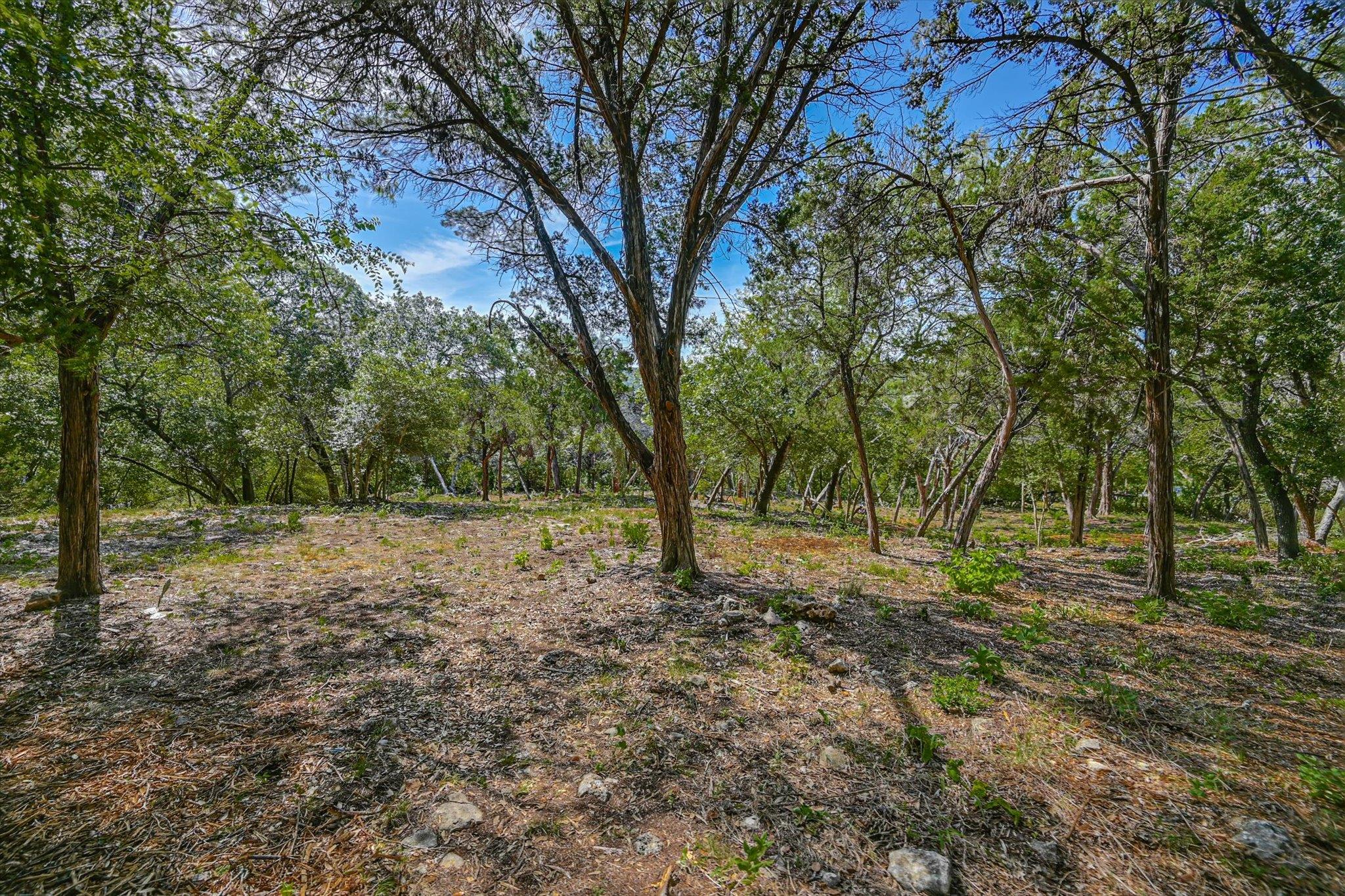 1403 Redbud Trl Property Photo 26