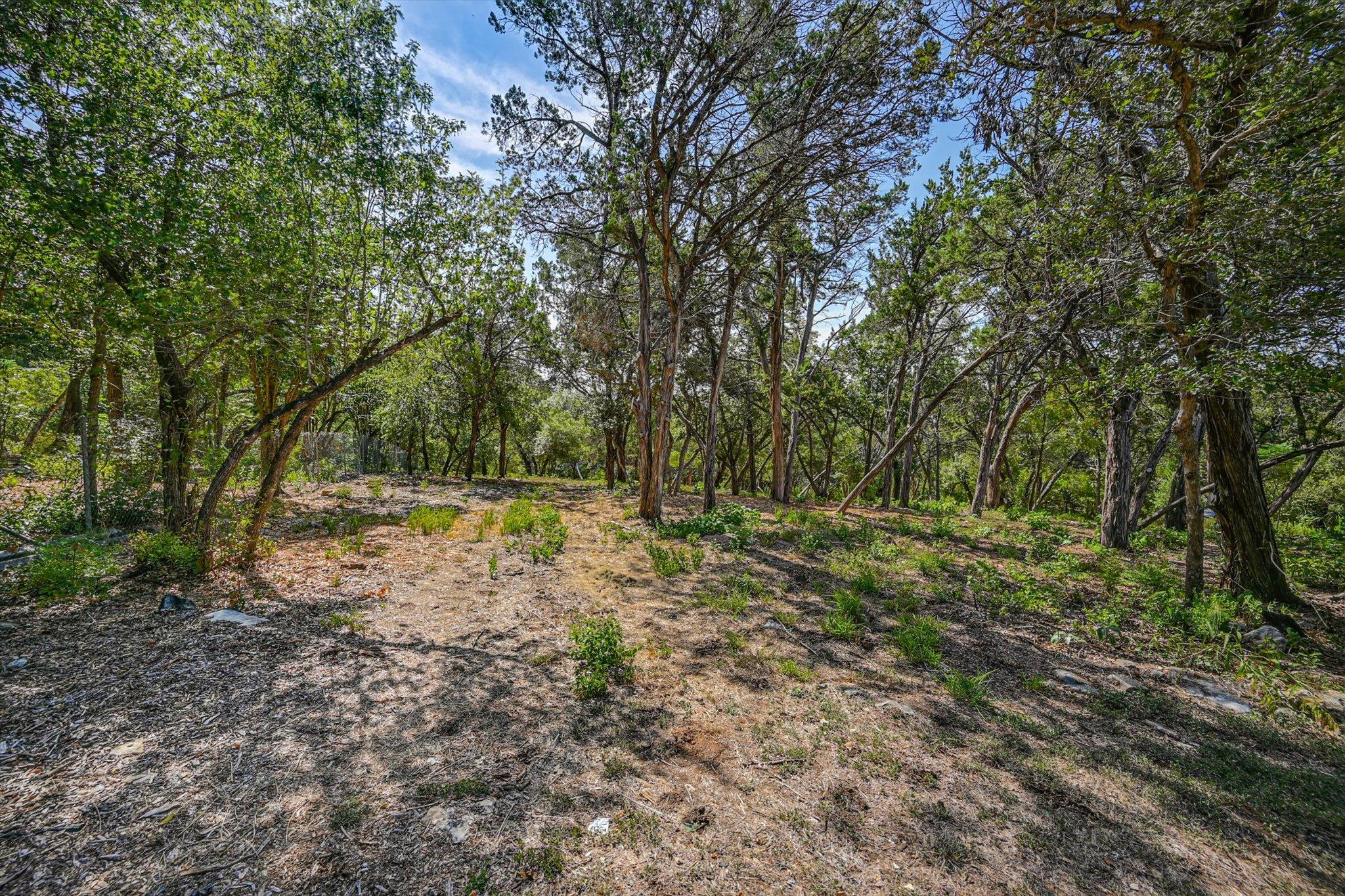 1403 Redbud Trl Property Photo 27