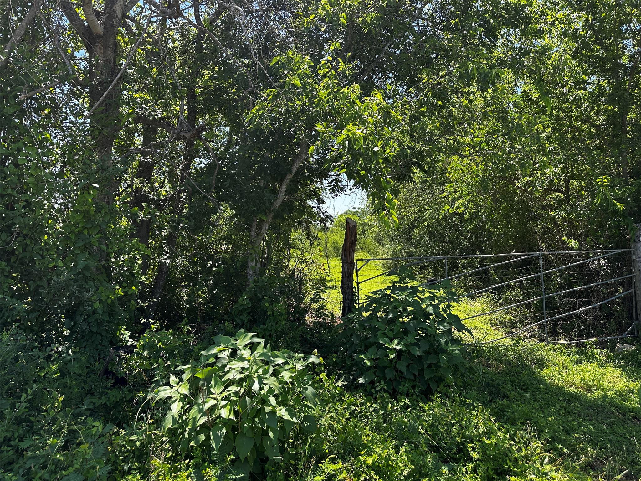 Tbd Scott St Property Photo 13