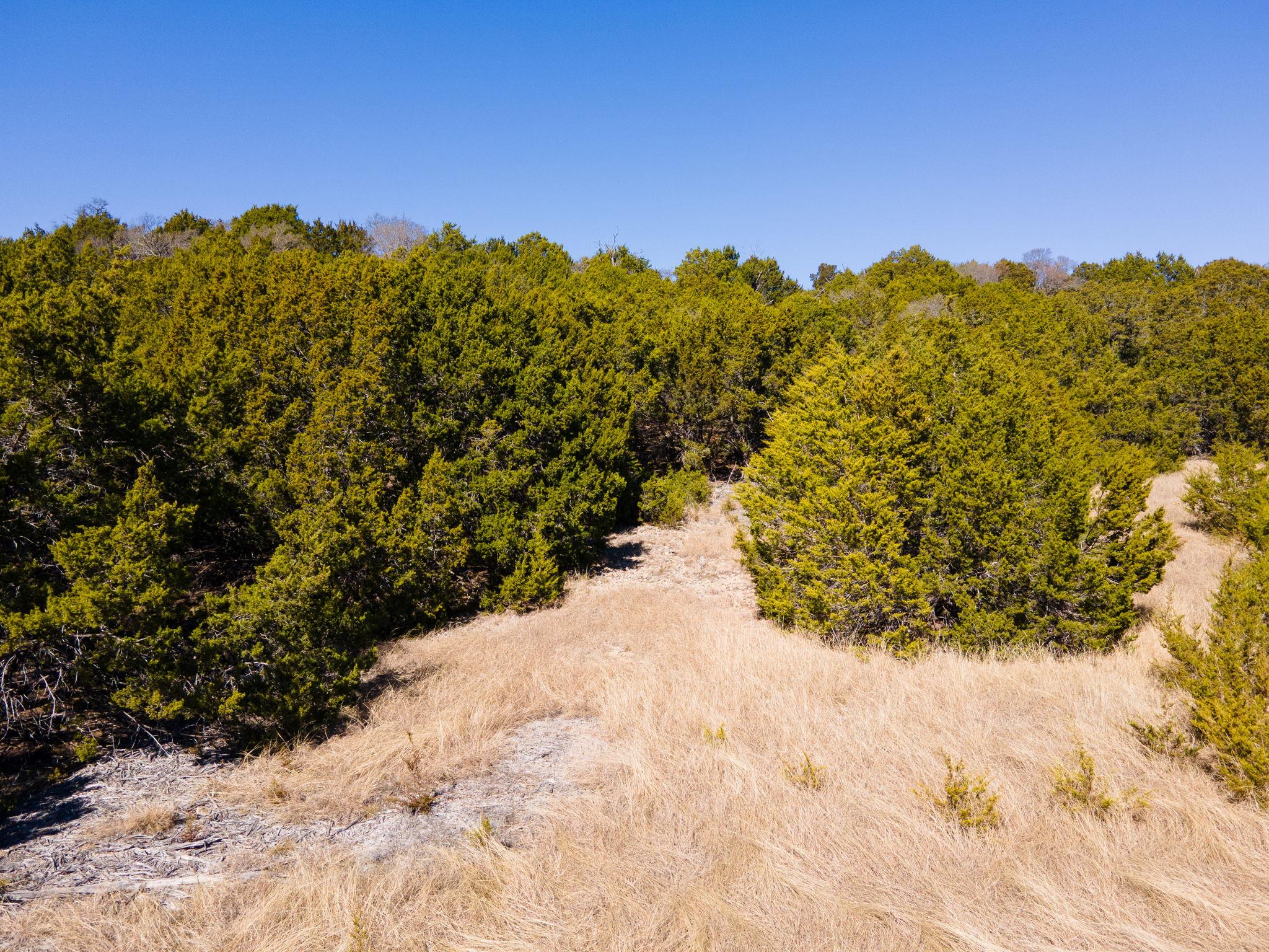 Lot #55 Blakely Rd None Property Photo 7