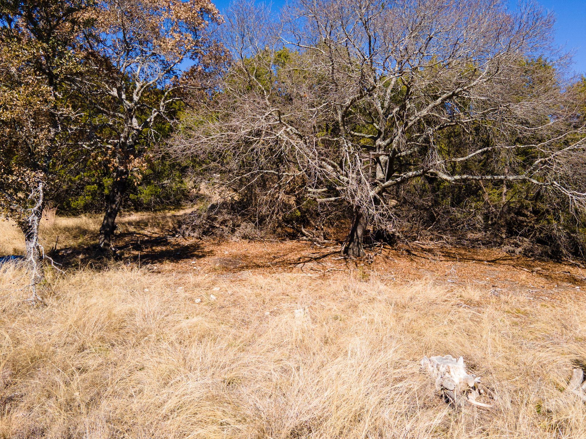Lot #55 Blakely Rd None Property Photo 10