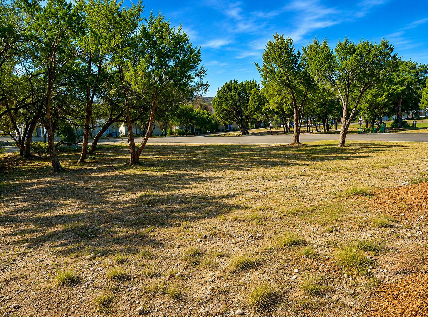 503 Cascade Cir Property Photo 3