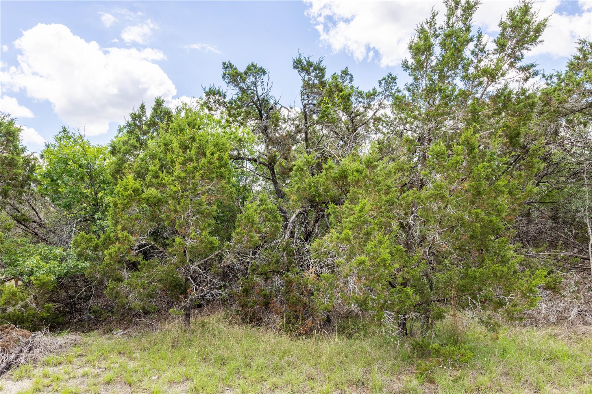 Tbd Cheyenne Trail Trl Property Photo