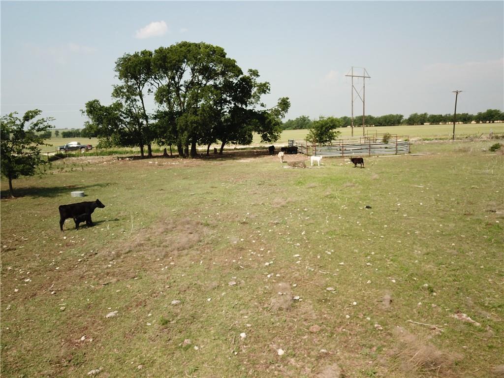 1230 County Road 248 None Property Photo 3