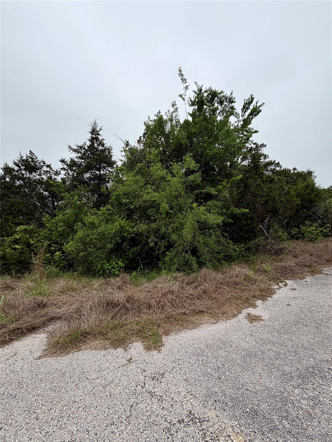 8903 Eagle Pass Property Photo 1