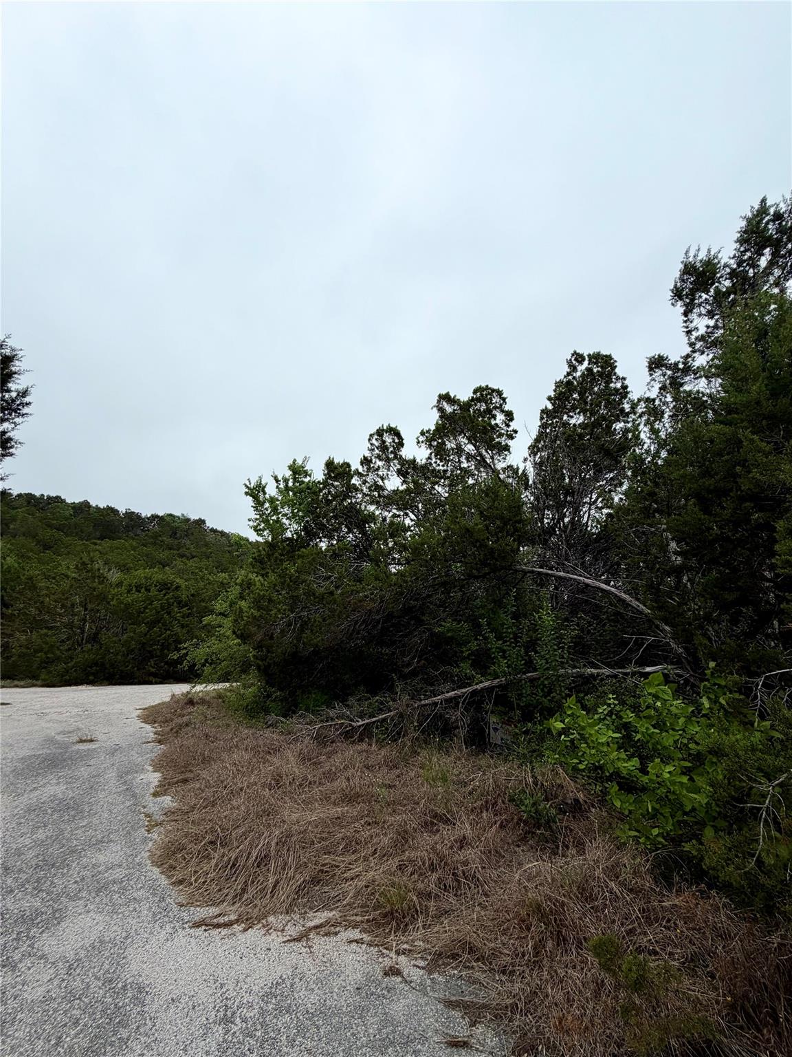 8903 Eagle Pass Property Photo 2