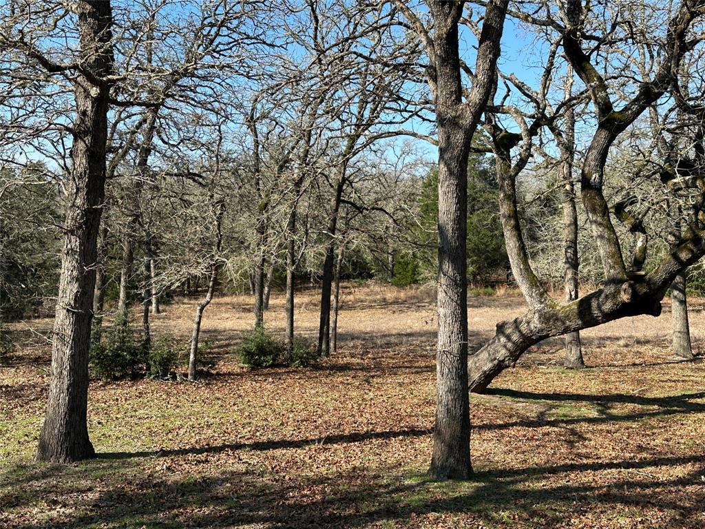 1047 Private Road 3022 None Property Photo 16